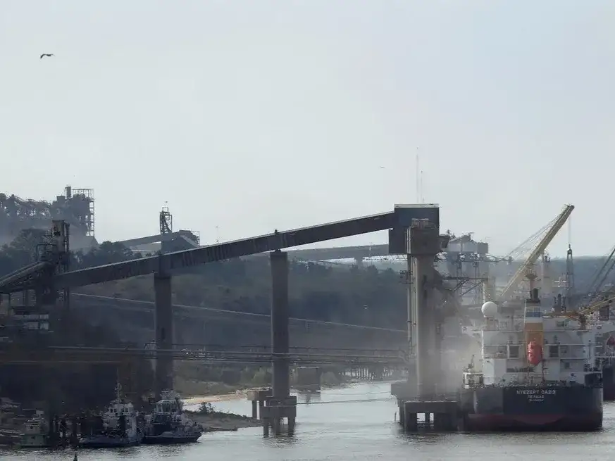 El volumen de soja industrializada se ubicaría en la campaña 2024/25 en torno a los 41,5 Mt.