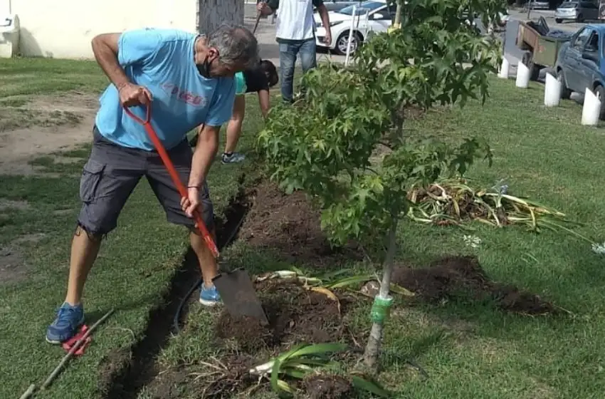 Proponen reforestar Mar del Plata de cara a los 150 años