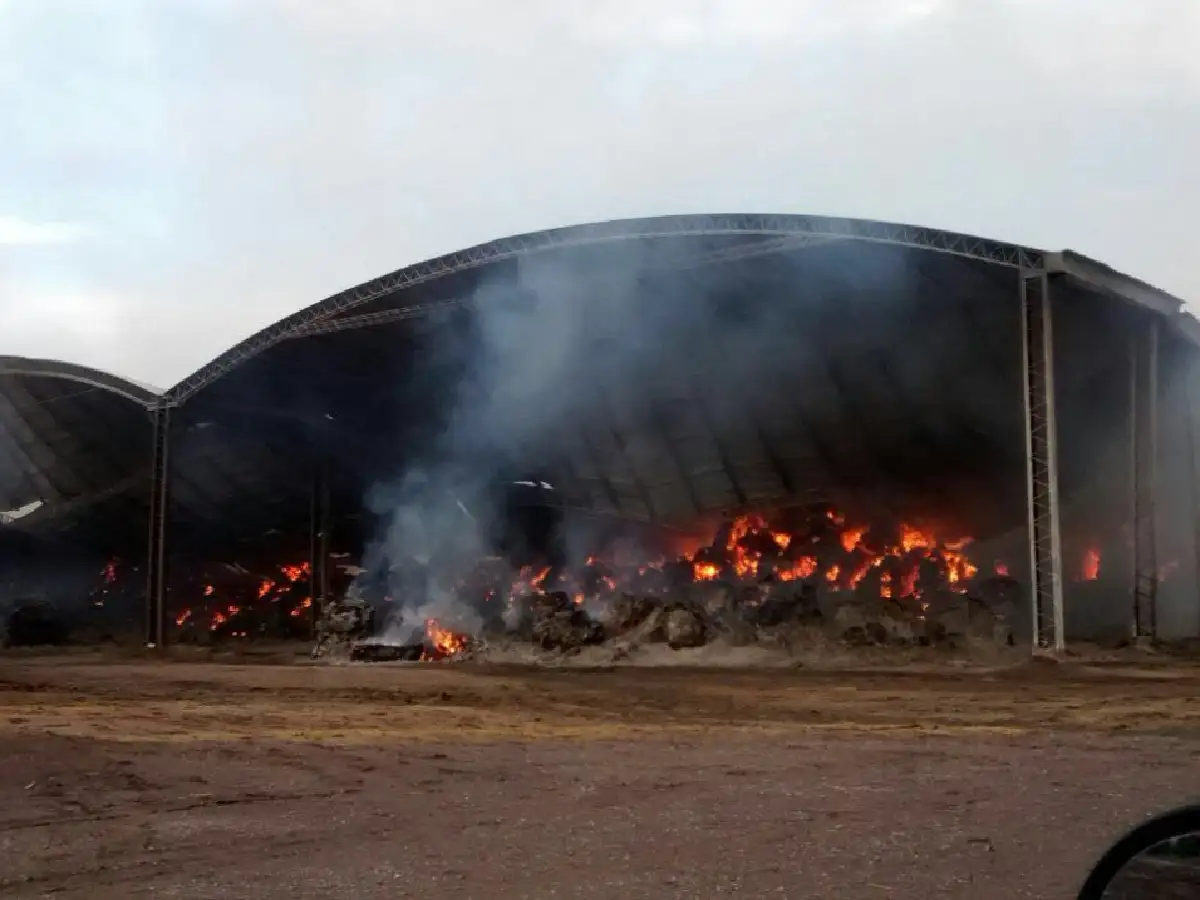 Tránsito: incendio destruyó galpón, tres camiones y un tractor