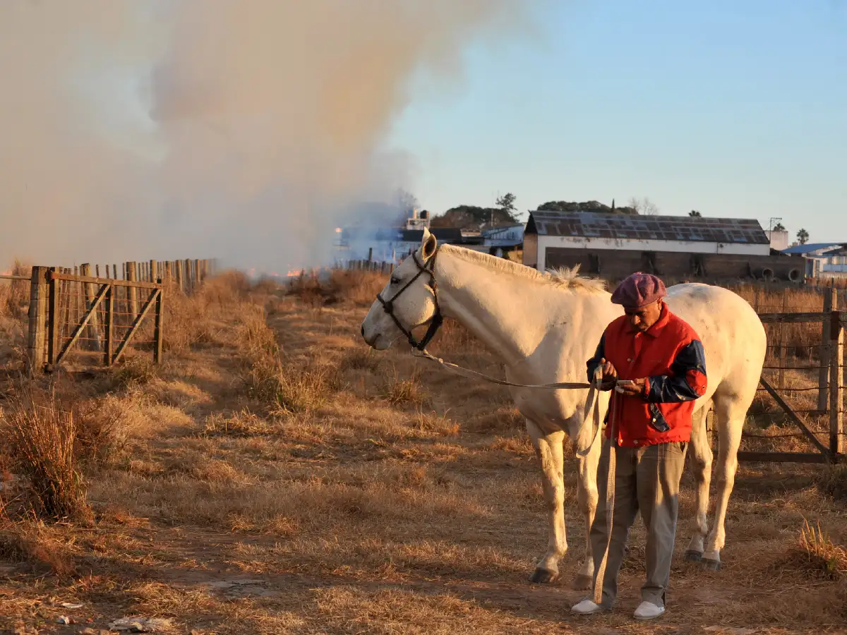Dan recomendaciones para  prevenir incendios en el campo   