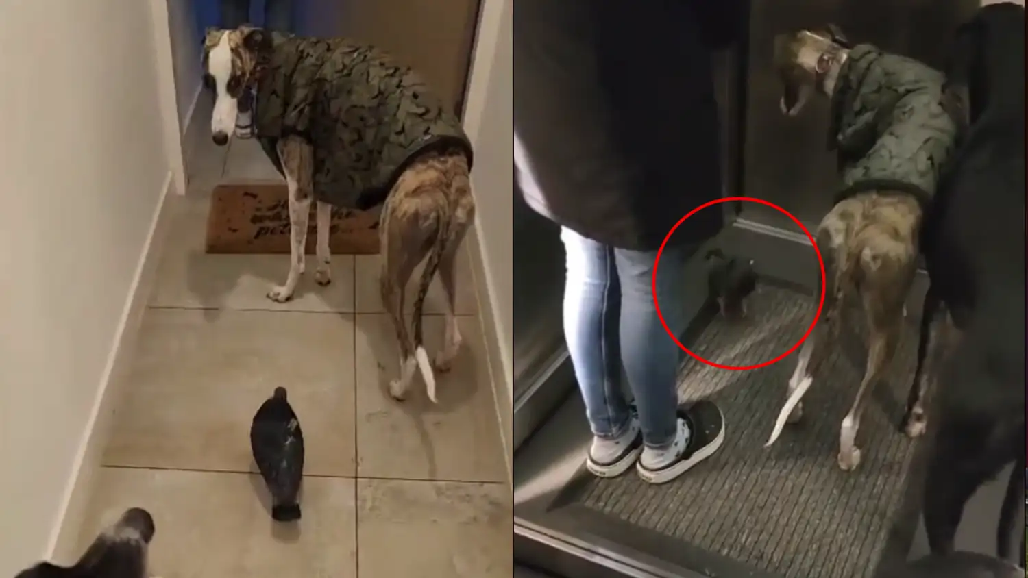 Una tierna amistad