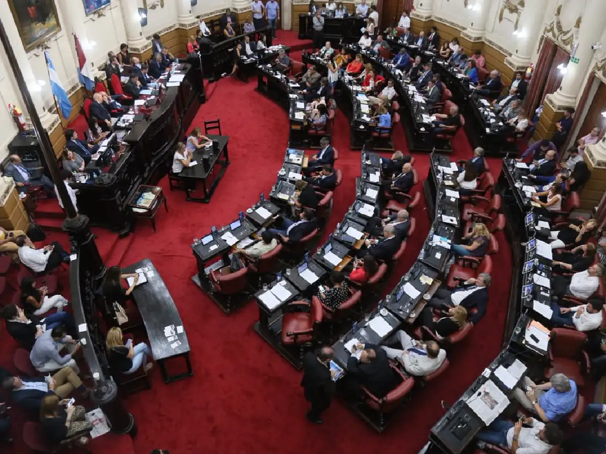 "Abogado del niño": la legislatura provincial debate hoy si transforma en ley el proyecto