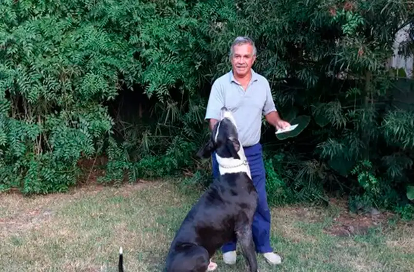 El sistema de identificación animal que creó un marplatense y servirá para hallar perros perdidos