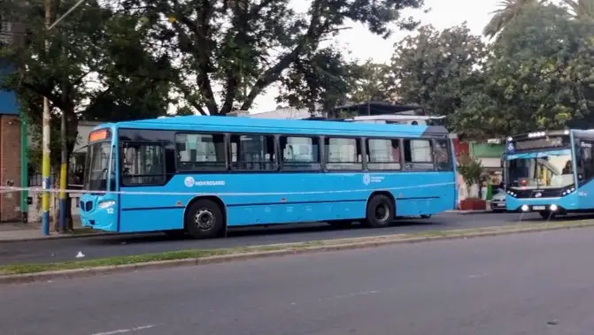 Foto: Gentileza