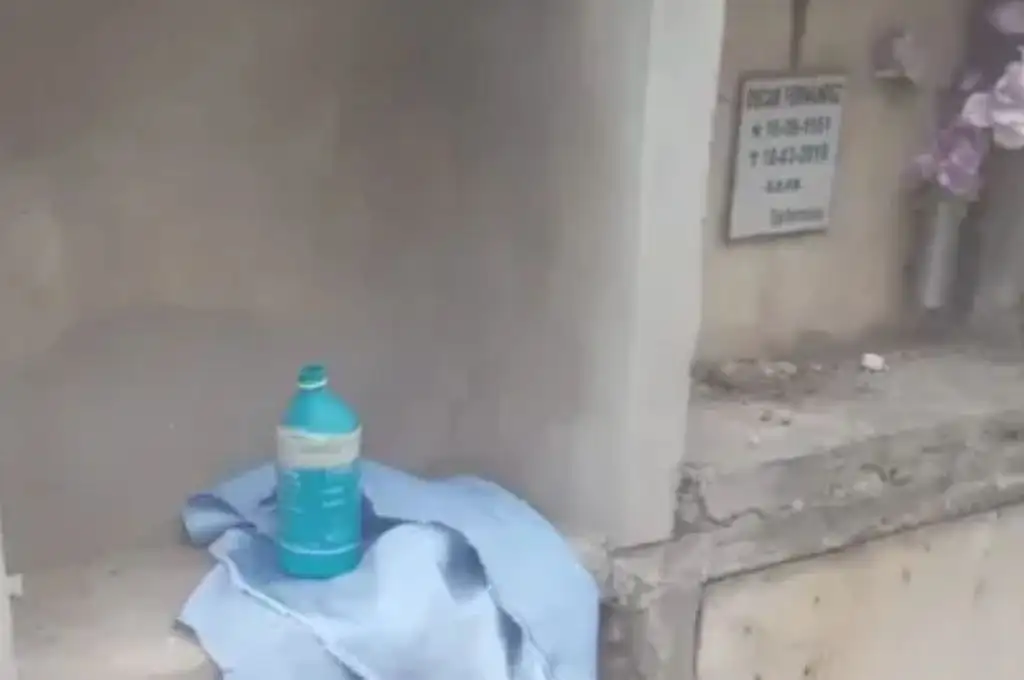 El feto en una botella de plástico