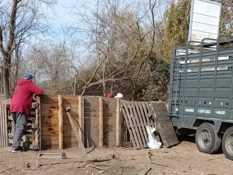 El operativo se realizó con la colaboración de Senasa, el gobierno local, Los Pumas y el propietario del criadero. Foto: GSF