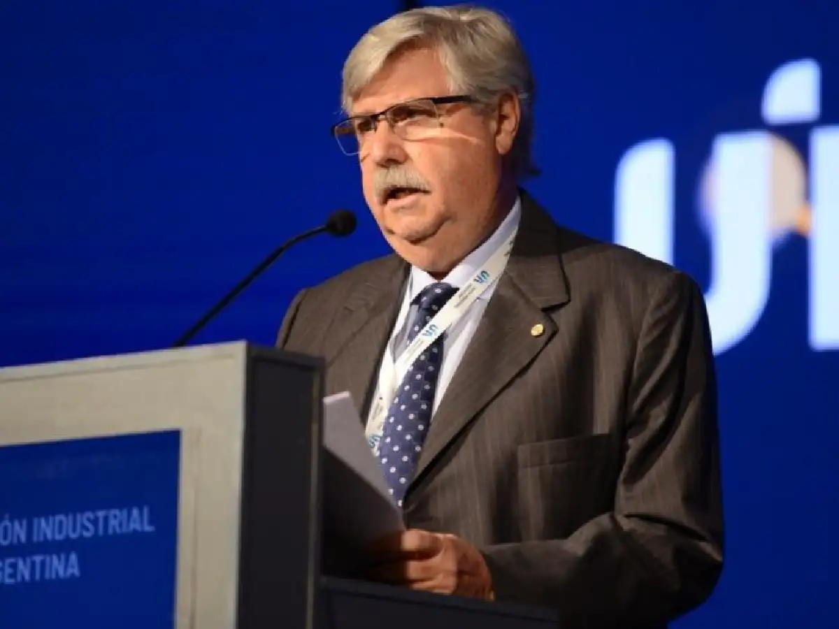 "Las medidas que tomó el Gobierno son el camino correcto", dijo vicepresidente de la UIA
