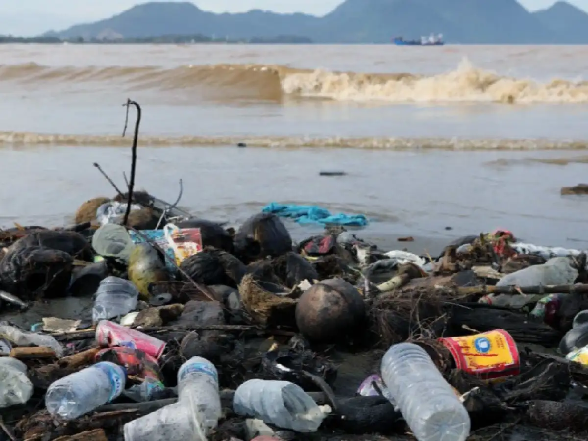 Plásticos: por qué no todos son reciclables y cuál es el daño irreversible que generan