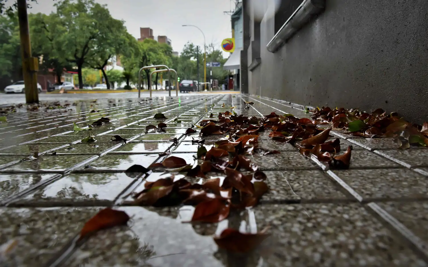 Clima otoñal en San Francisco