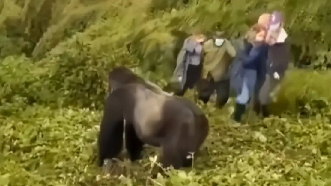 Todo quedó captado en un video