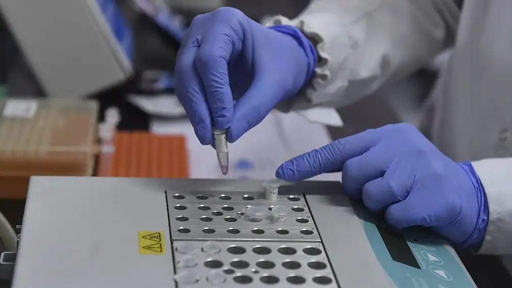 Conicet trabaja en un gel que desactive el coronavirus de ropa, paredes y pupitres