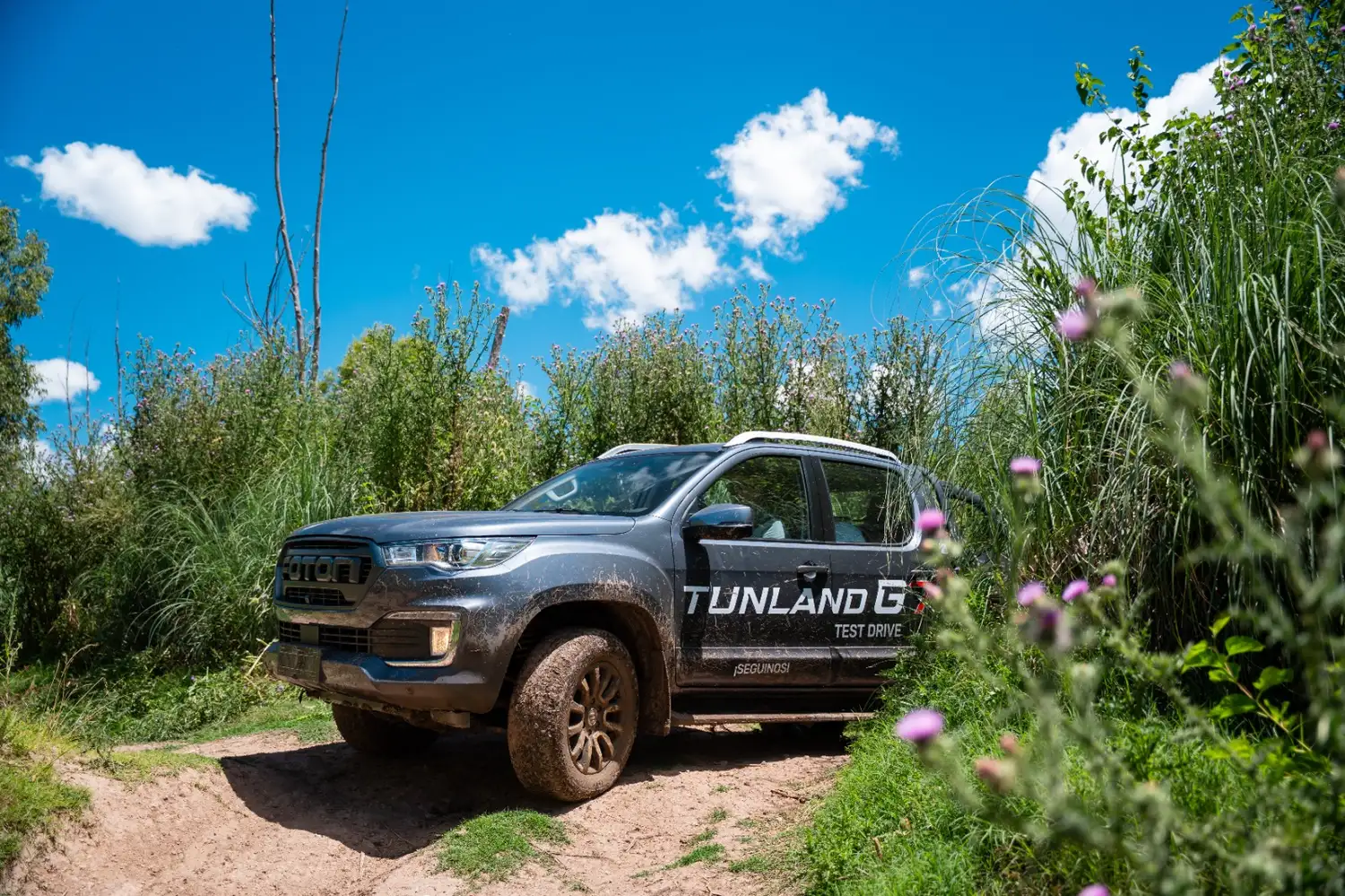 Tunland