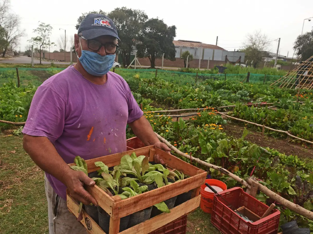 Trabajar la agricultura urbana como política pública   