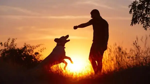 Por qué la personalidad del perro se parece a la de su dueño