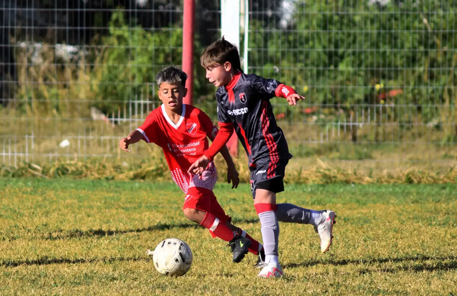 Los chicos volverán a las canchas.