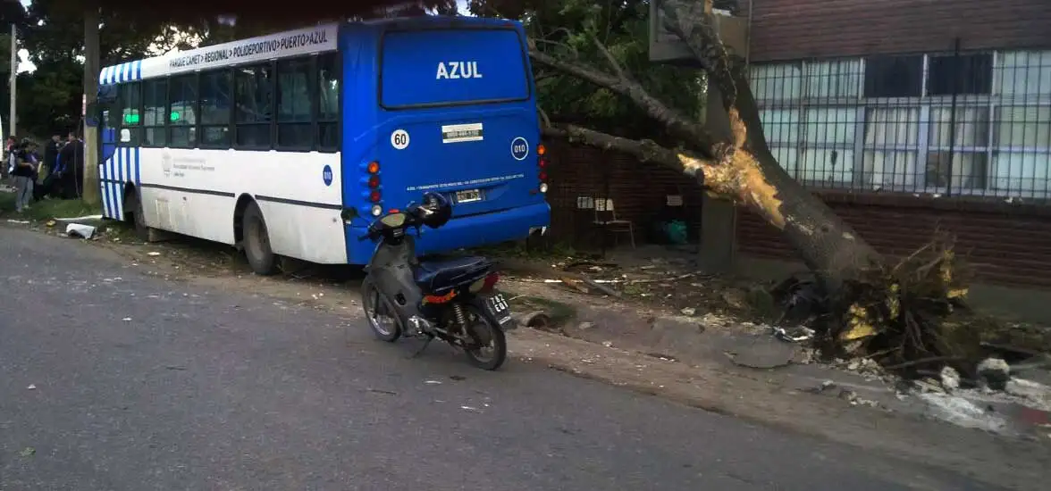 colectivo-4