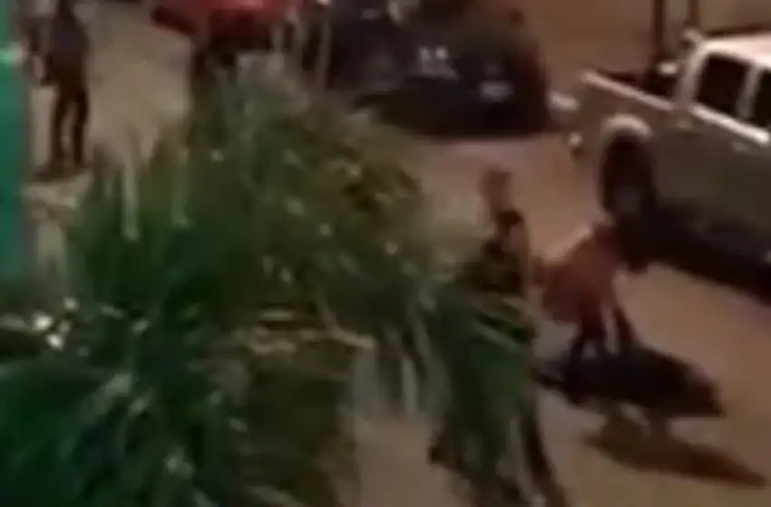 Violencia en Necochea: echaron a los patovicas y publicaron un video de cómo empezó la pelea