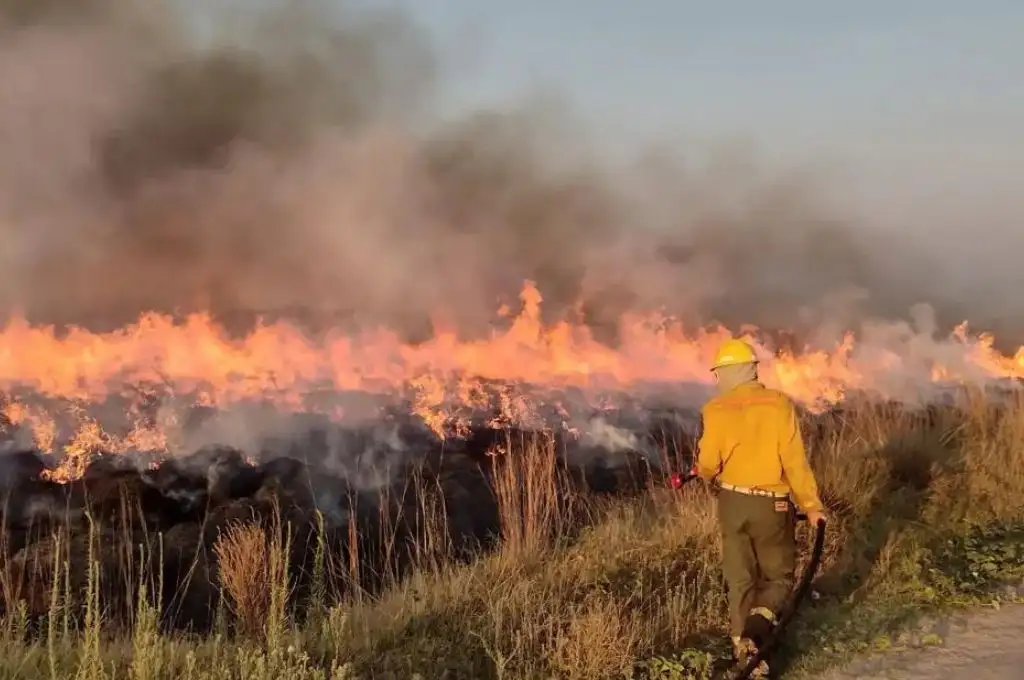 Un incendio en los Esteros del Iberá lleva más de 50 días y ya arrasó con 5 mil hectáreas