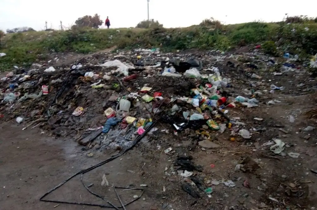 Rosario: vecinos de barrio Toba denuncian invasión de ratas