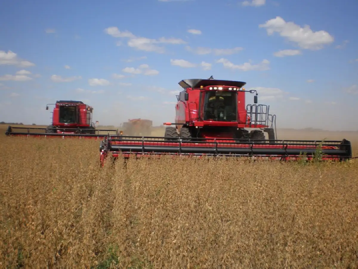 Estiman que la campaña agrícola 2018/19 ascenderá a USD 33.798 millones