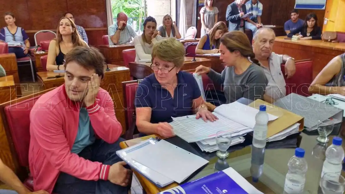 Crovetto, tras su paso por el Concejo: "No me permitieron exponer"
