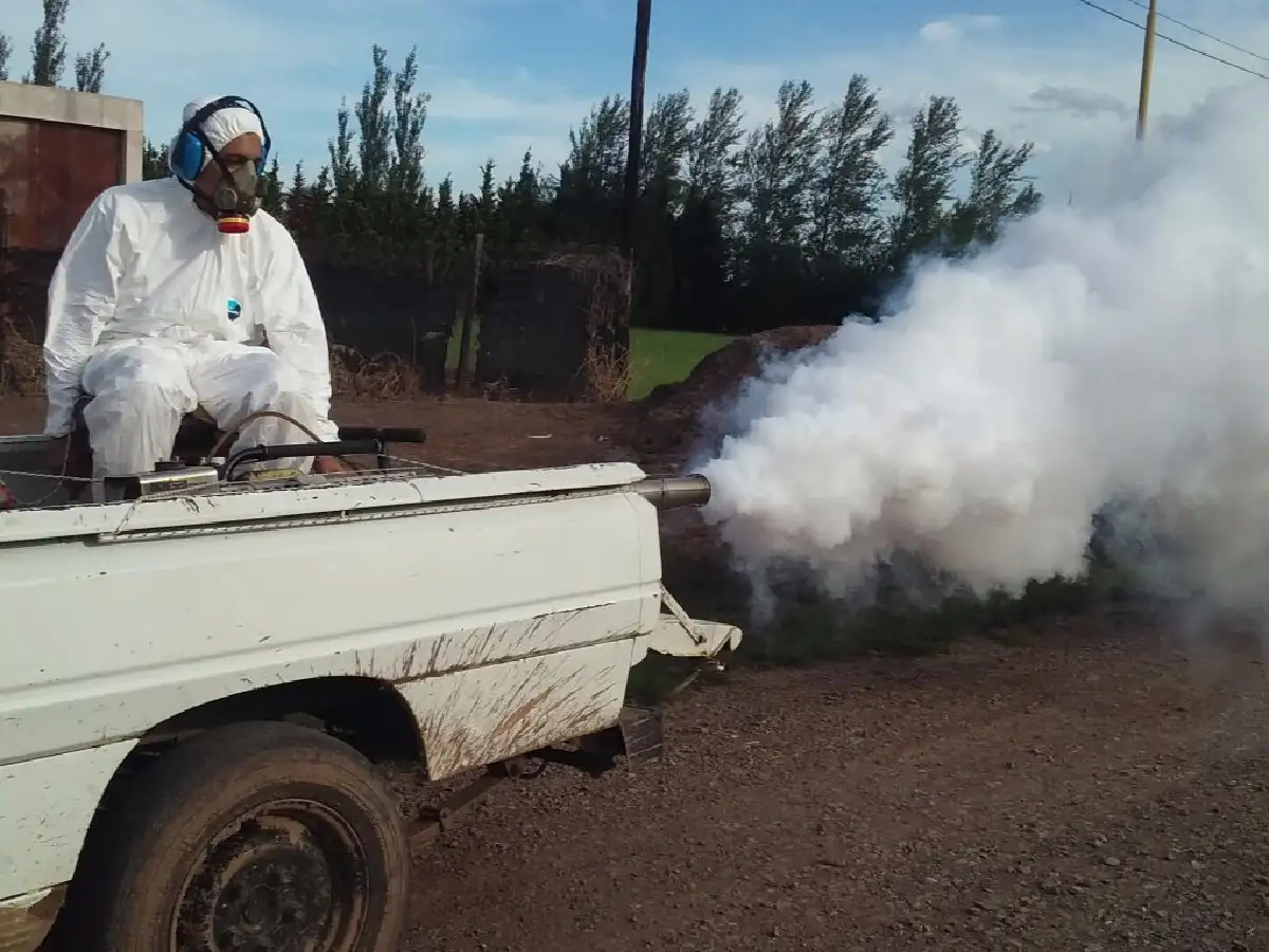 Dieron negativo los siete casos sospechosos de dengue 