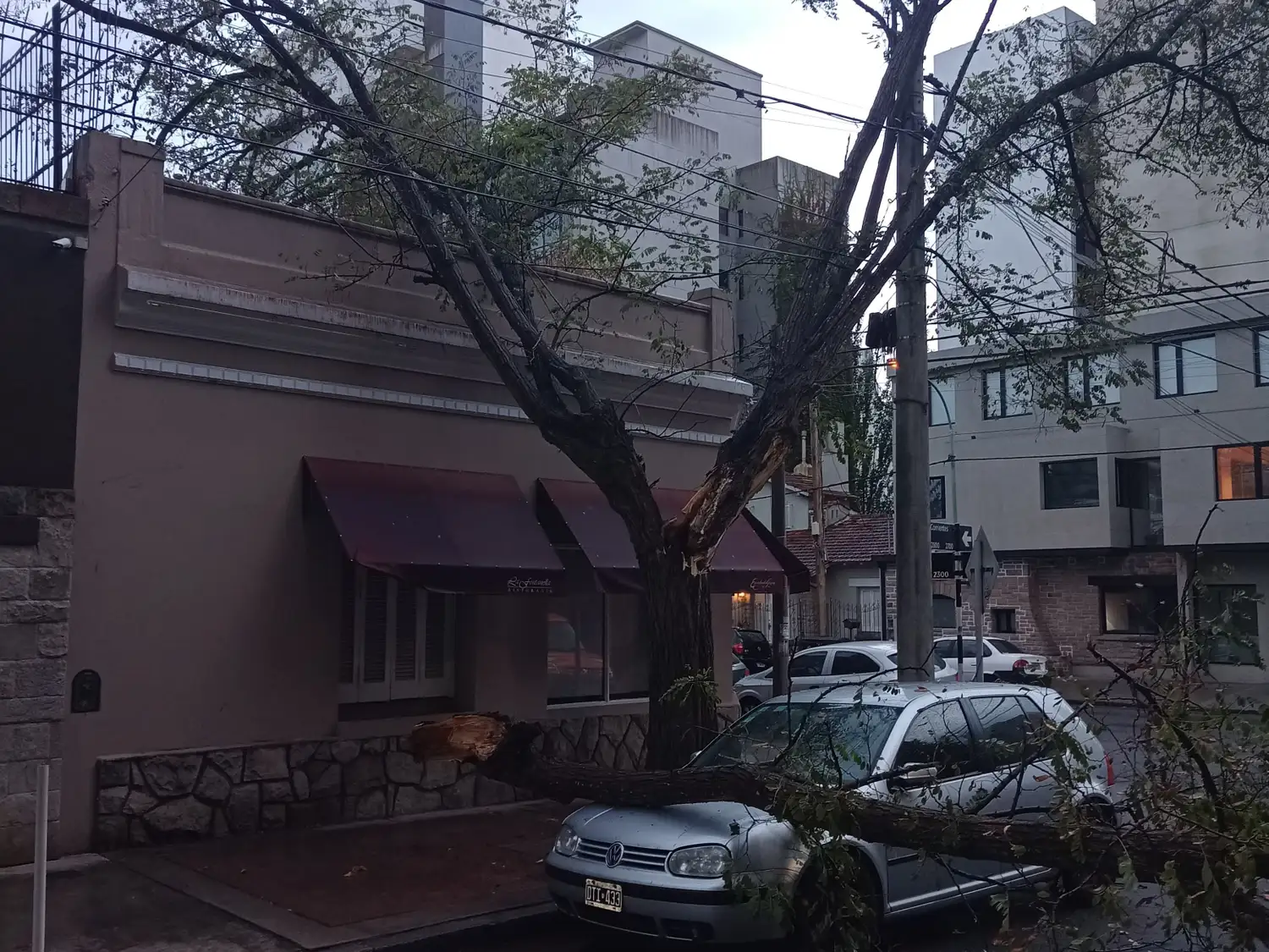 En Corrientes y Rawson se quebró un árbol, un árbol que estaba en mal estado se llenó de agua y se quebró  cayo sobre un restaurante y un auto.