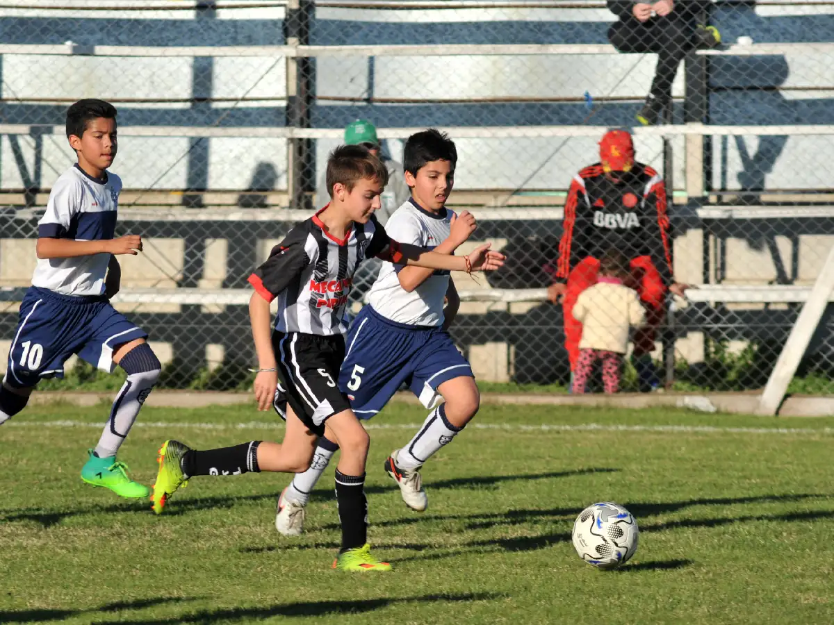 Los primeros pasos