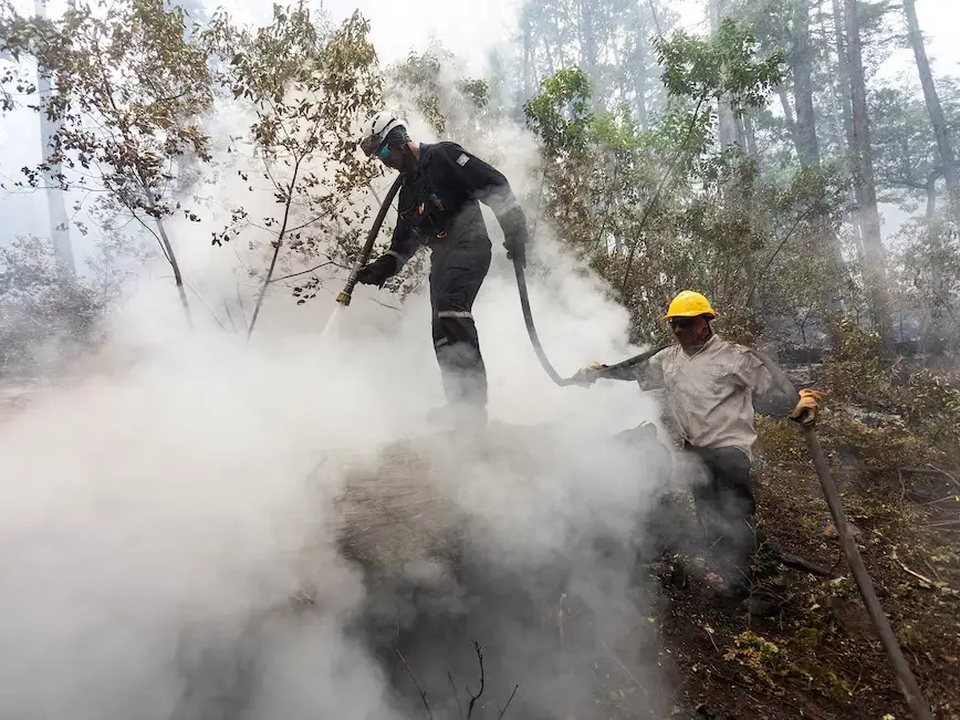 En la zona trabajaban alrededor de 200 brigadistas.