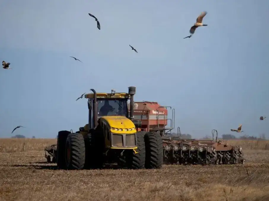 El girasol y el maíz temprano completaron la siembra pese a las dificultades por las lluvias.