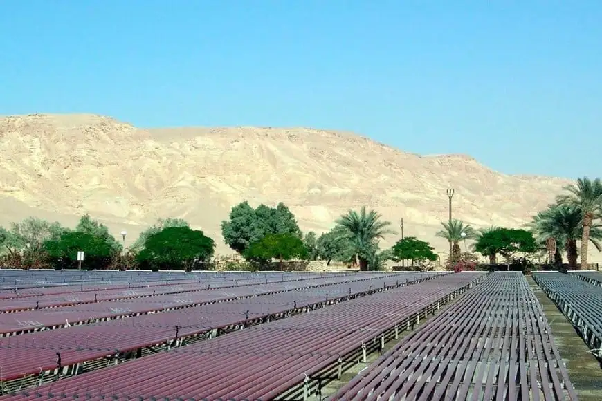 Israel eco