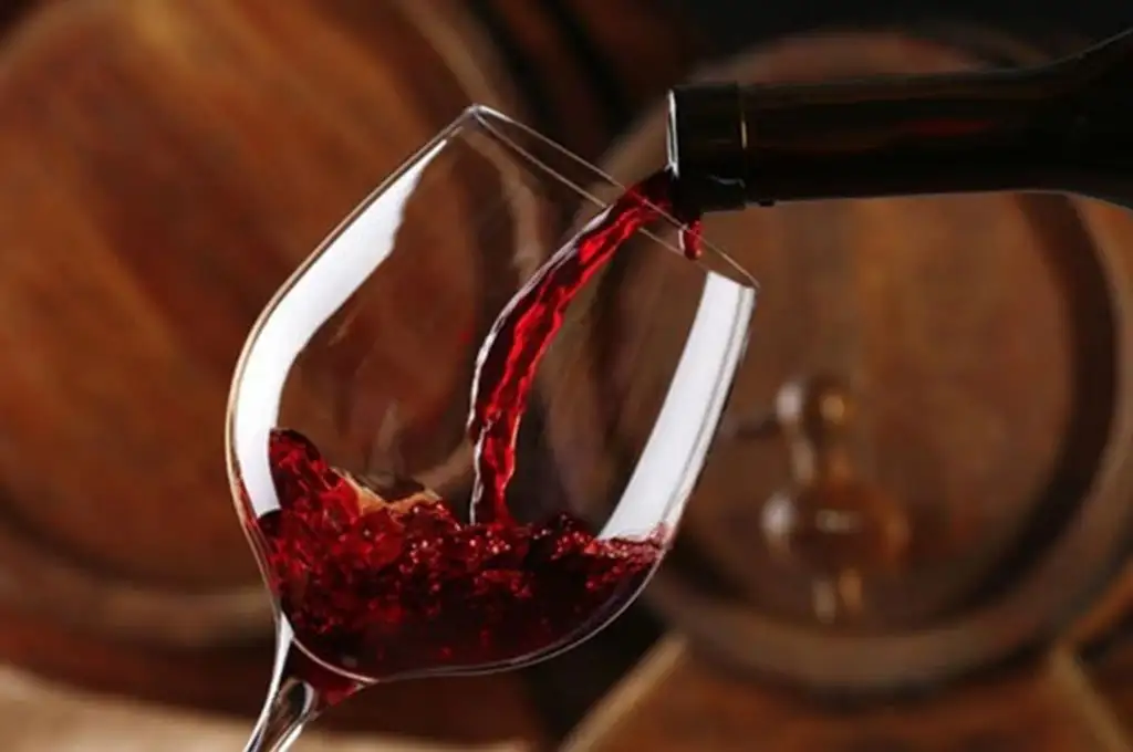 Un grupo de jujeños está desarrollando algo extraordinario: los vinos de extrema altura.