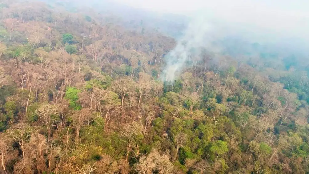 Salta y Jujuy mantienen focos activos de incendios