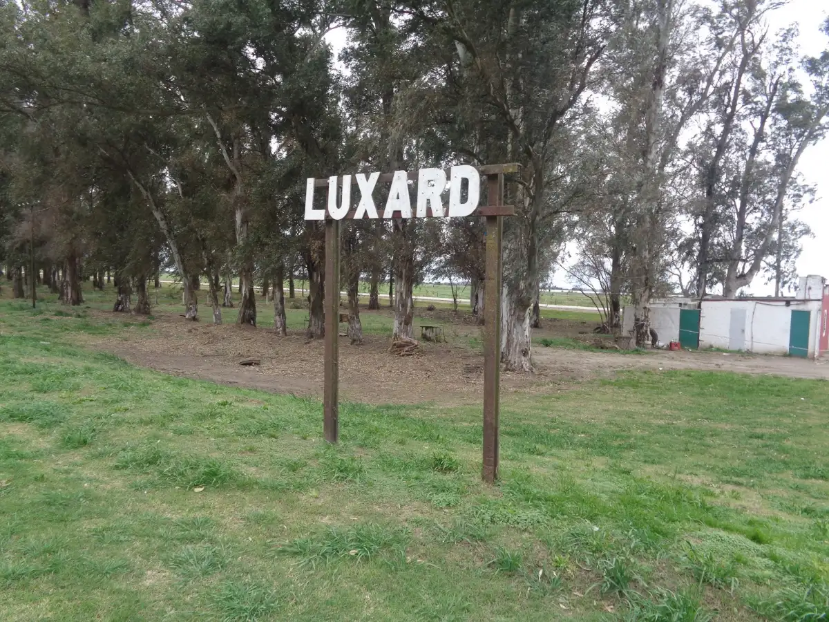Roban dos motoguadañas y motosierra de depósito de la comuna de Luxardo