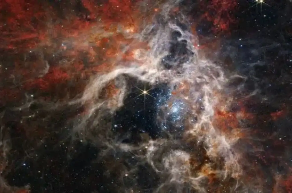El telescopio James Webb reveló miles de estrellas en la nebulosa “Tarántula”