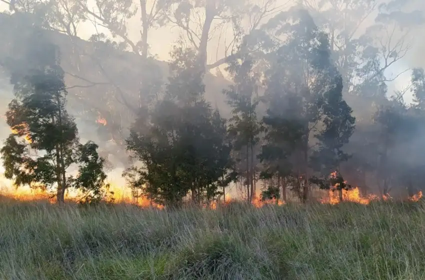 Tras un día entero de trabajo, lograron extinguir el fuego en Sierra de los Padres
