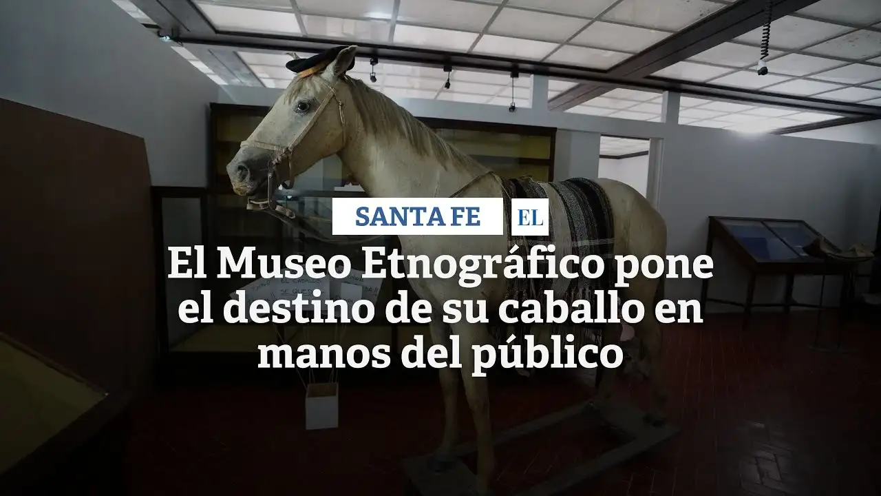 El Museo Etnográfico pone el destino de su caballo en manos del público