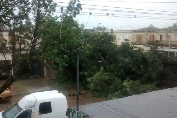 La tormenta produjo severos daños en el sistema de alta, media y baja tensión