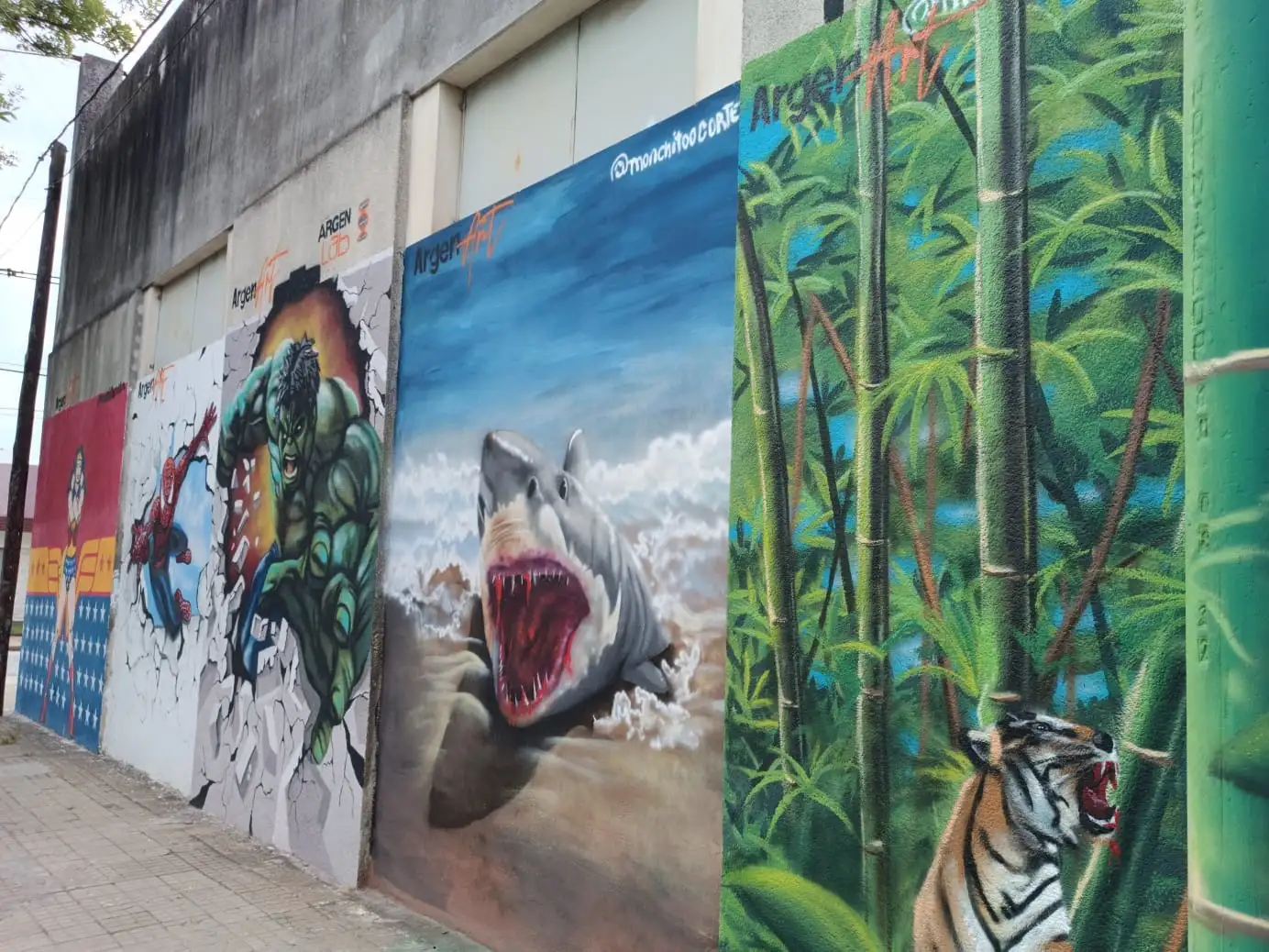 La creación de los murales forman parte de la campaña "ArgenArt"
