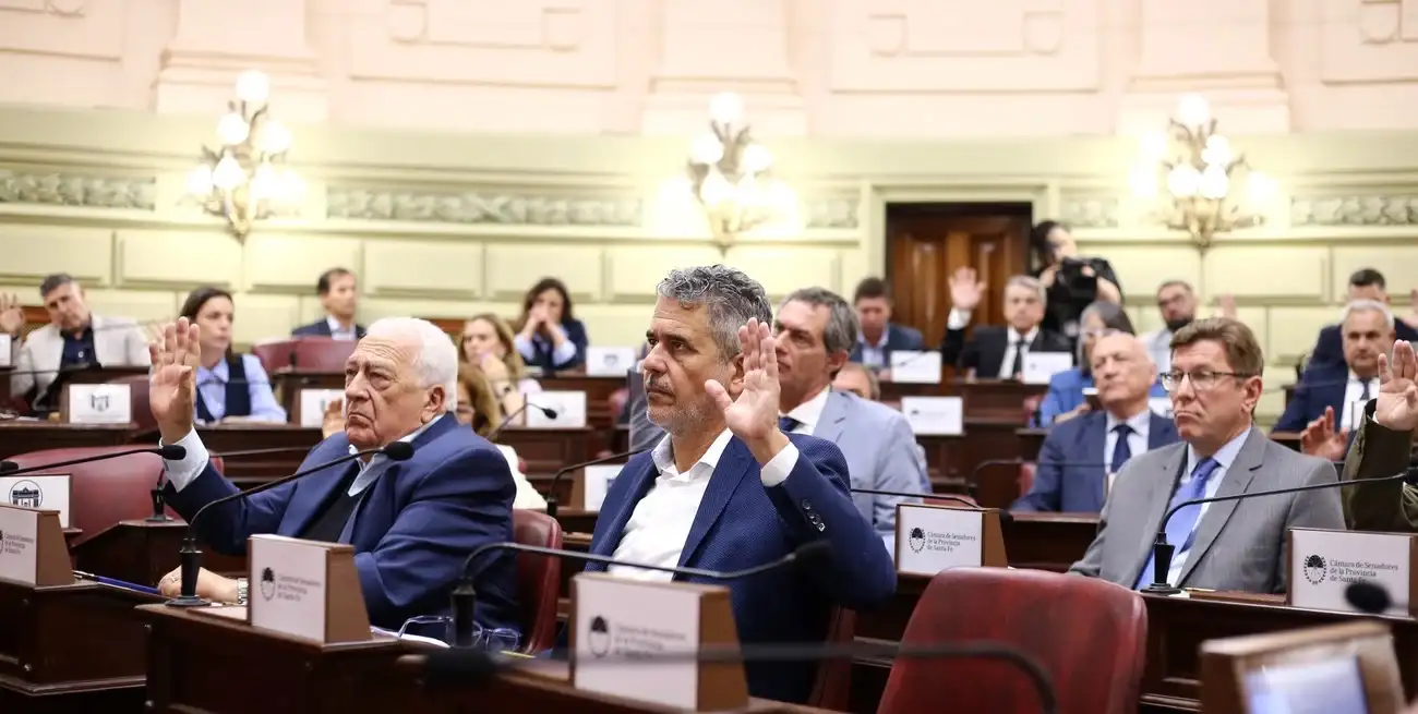 Senadores y diputados en la Asamblea Legislativa tratarán pliegos para el servicio de justicia de Santa Fe. Gentileza Cámara de Senadores