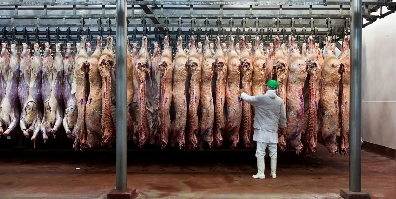 En los primeros once meses del año, el consumo aparente de carne vacuna creció 3,4% interanual.