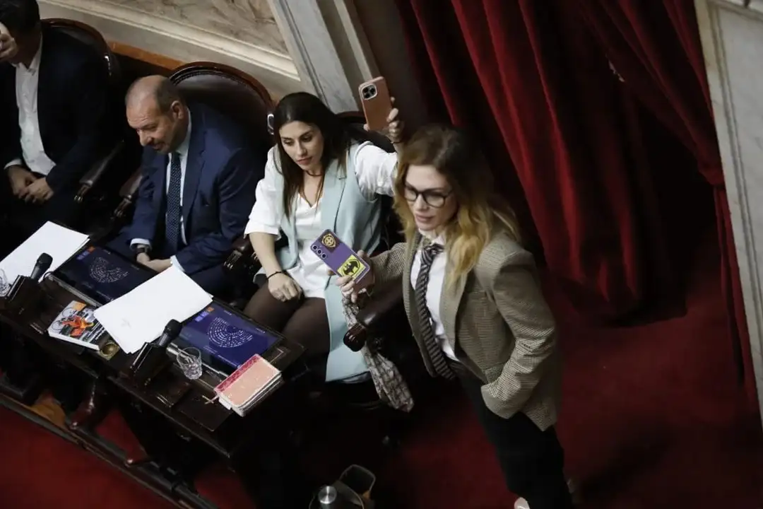 Marcela Pagano y Lilia Lemoine en Diputados