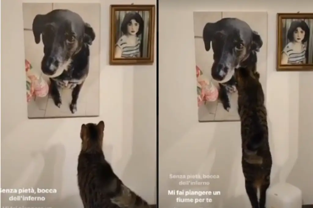 Este momento ha conmovido a miles de usuarios en las redes sociales.