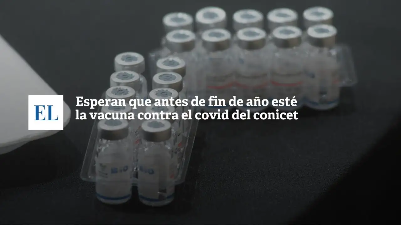 Esperan que antes de fin de año esté la vacuna contra el Covid-19 del Conicet