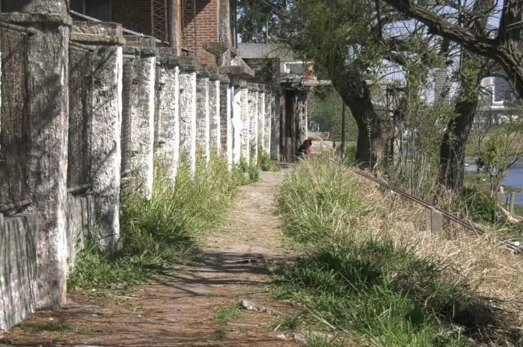 Alto Verde: piden desmalezamiento “urgente” porque una maestra sufrió una mordedura de serpiente