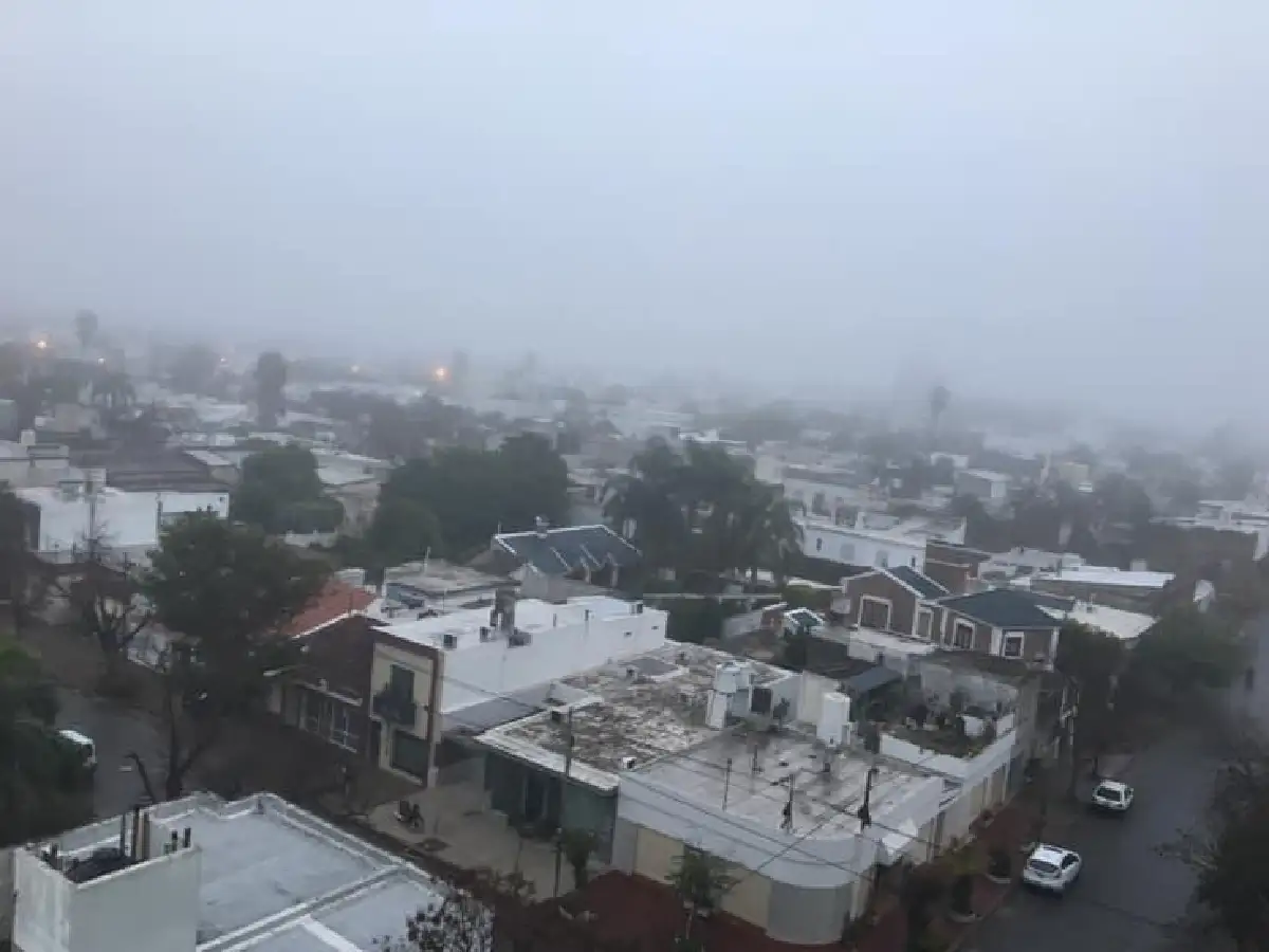 Baja visibilidad: ¿en qué se diferencian niebla y neblina?