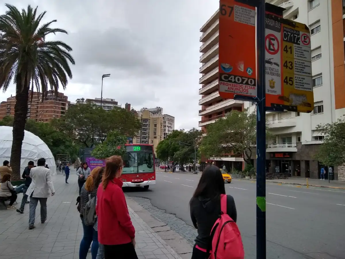 Proponen asegurar la igualdad de género en la conducción del transporte