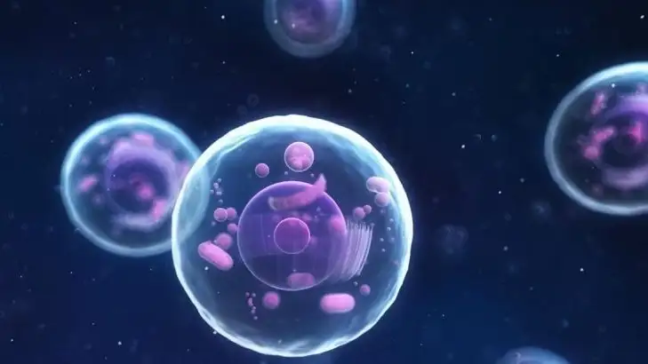 Una reciente investigación científica encendió alertas sobre el uso de ciertos suplementos antioxidantes.