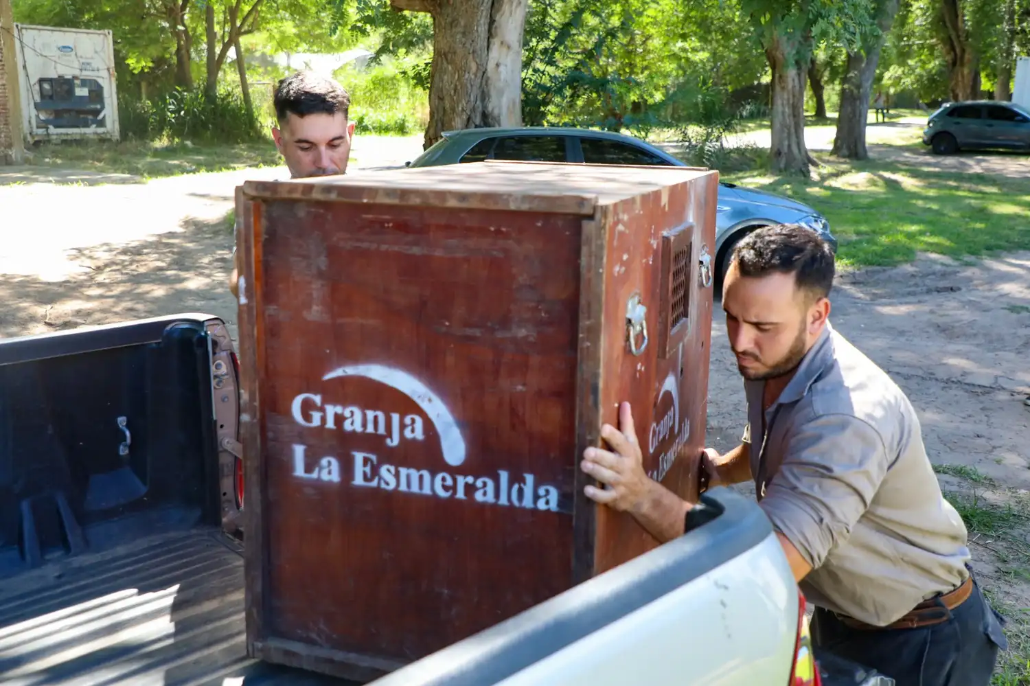 Personal de Rescate en plena tarea.