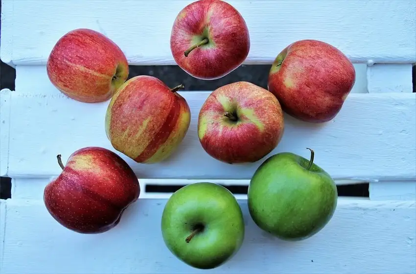 ¿Hay un cambio de paradigma en la nutrición?